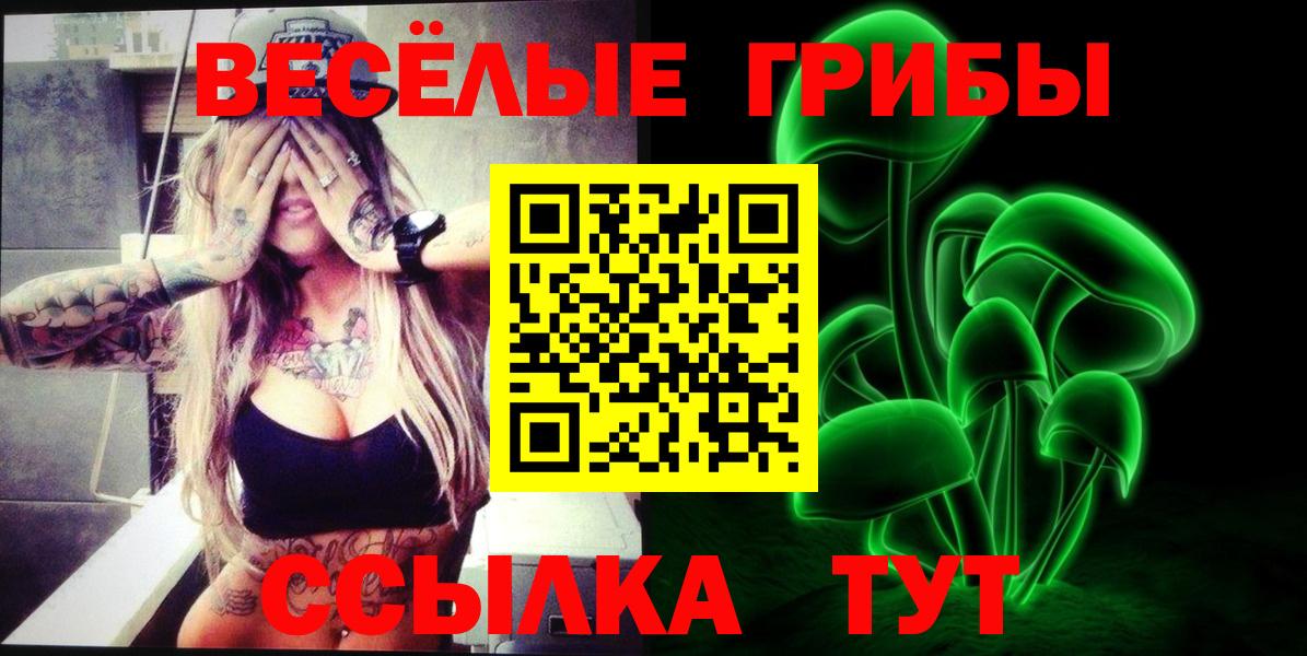 Псилоцибиновые грибы Cubensis  Вход с VPN  Псилоцибиновые грибы GOLDEN TEACHER  Алексин 